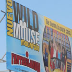 Plants: image 2 0f 4 thumb