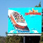 Plants: image 3 0f 4 thumb